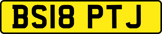 BS18PTJ