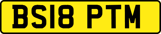 BS18PTM