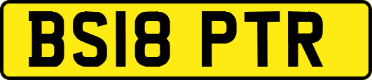 BS18PTR