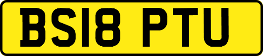 BS18PTU