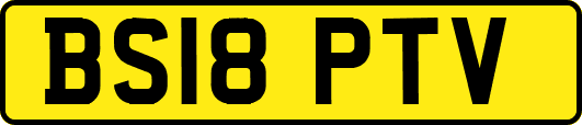 BS18PTV