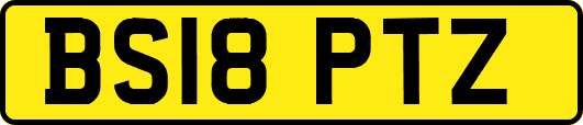 BS18PTZ