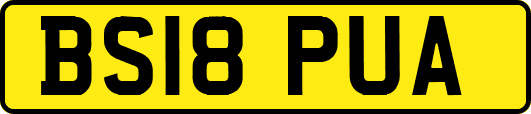 BS18PUA