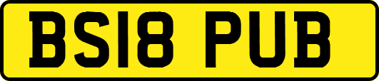 BS18PUB