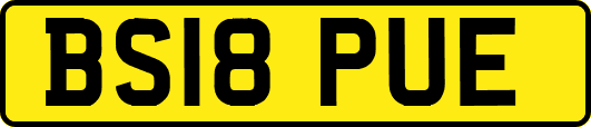 BS18PUE