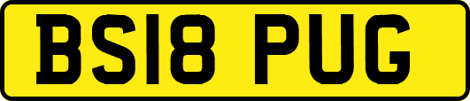 BS18PUG
