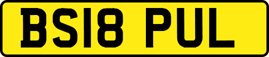 BS18PUL