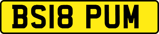 BS18PUM