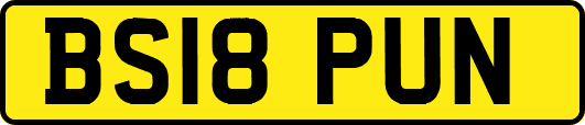 BS18PUN