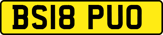 BS18PUO