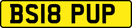 BS18PUP