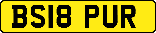BS18PUR