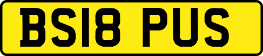 BS18PUS