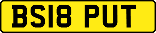 BS18PUT
