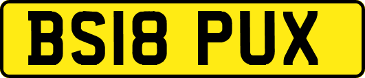 BS18PUX