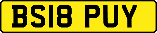 BS18PUY