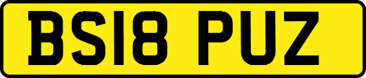 BS18PUZ