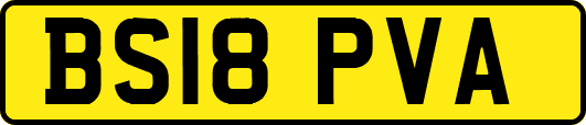 BS18PVA