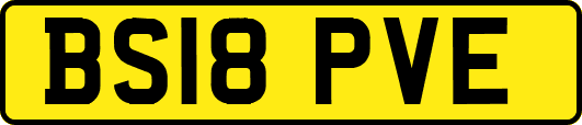 BS18PVE