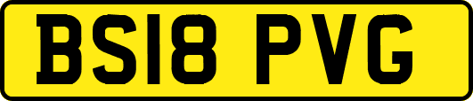 BS18PVG