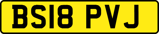BS18PVJ