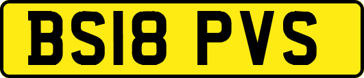 BS18PVS