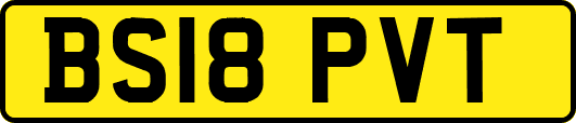 BS18PVT