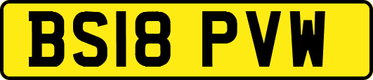 BS18PVW