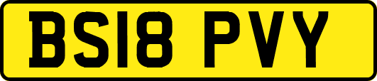 BS18PVY