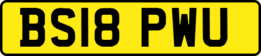 BS18PWU