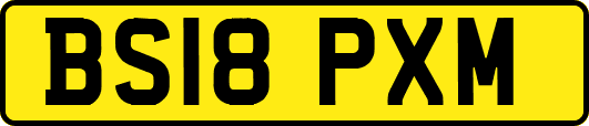 BS18PXM