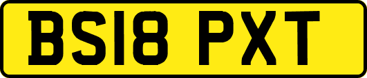 BS18PXT