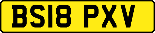 BS18PXV