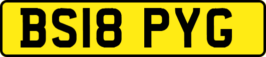 BS18PYG