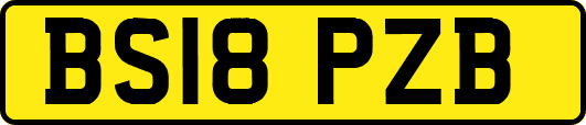 BS18PZB