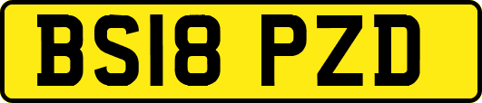 BS18PZD