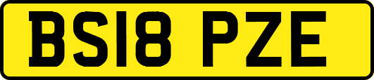 BS18PZE