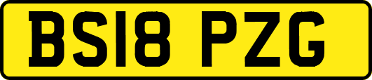 BS18PZG