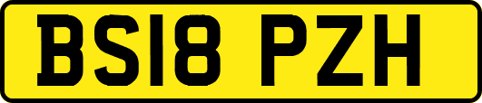 BS18PZH