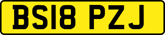 BS18PZJ
