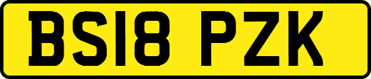 BS18PZK