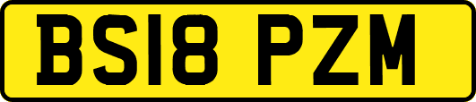 BS18PZM