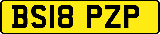 BS18PZP