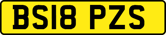 BS18PZS