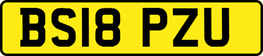 BS18PZU