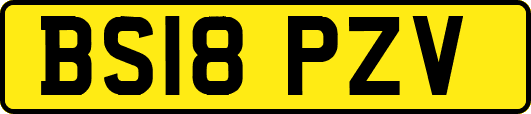 BS18PZV