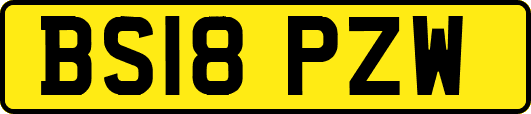 BS18PZW