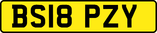 BS18PZY