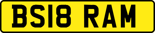 BS18RAM