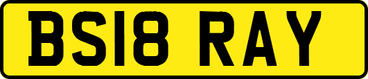 BS18RAY
